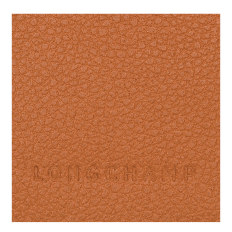 Longchamp Le Foulonné Passport cover